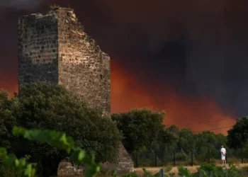 Incêndios florestais ameaçam cidade histórica francesa de Bordeaux