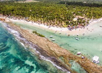 Barulho de barco e de turistas afeta comunicação de peixes, diz estudo
