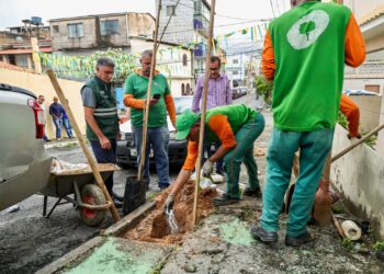 Prefeitura de Salvador realiza na Boca do Rio primeiro plantio do programa Plante no Passeio