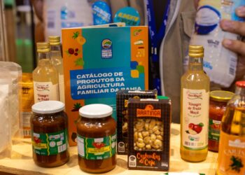Agricultura familiar ganha espaço na SuperBahia 2026 e fortalece conexão entre pequenos produtores e o varejo