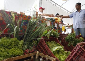 Decreto adia exigência de CNPJ para autônomos e produtores rurais