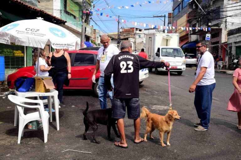 vacinação antirrábica_jefferson éixoto_secom pms