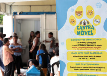 Prefeitura de Salvador amplia alcance do Castramóvel com três unidades móveis de atendimento