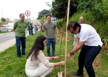 Prefeitura amplia arborização com plantio de 30 novas árvores na Vila Laura