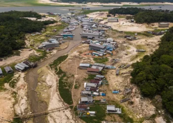 Da Amazônia à Europa, seca avança e movimenta debates na COP17