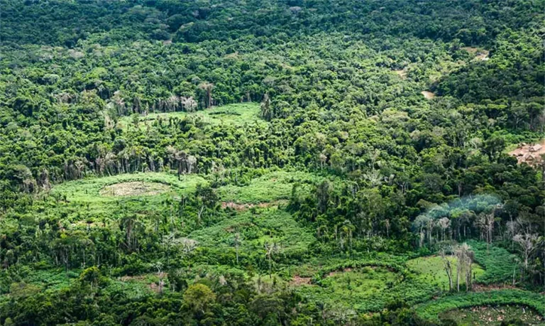 Amazônia
