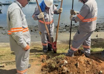 DSIP moderniza iluminação e reforça ações de manutenção em comunidades do Subúrbio