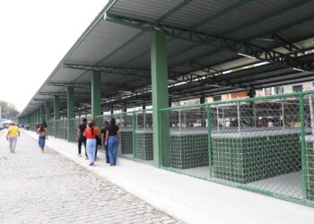 Estado realiza ações de segurança, abastecimento de água, infraestrutura e agricultura familiar em cinco municípios