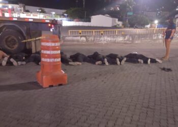 Polícia Federal e Codeba apreendem carreta durante operação no Porto de Salvador