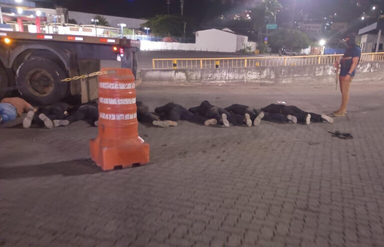 Foto divulgação (1)