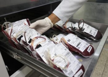 Sabadão Solidário: Hemoba intensifica doação de sangue em cidades do interior baiano