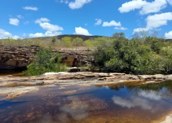 Pantanal: enfrentar mudanças climáticas depende de outros cinco biomas