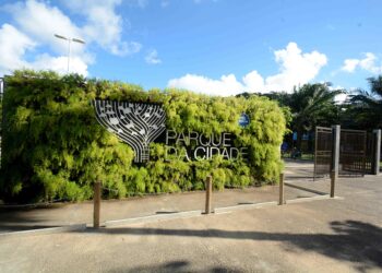 Estudantes da rede municipal participam de oficinas sobre educação financeira no Parque da Cidade