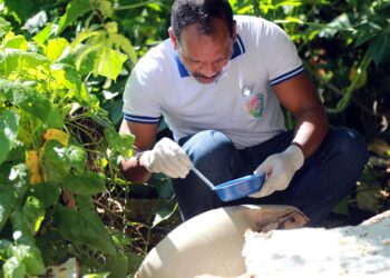 Prefeitura intensifica ações de combate ao mosquito da dengue em Salvador