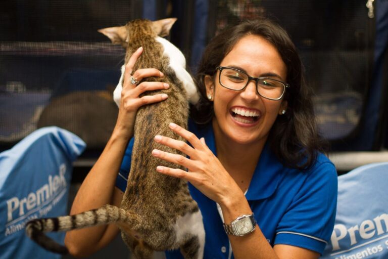 Shopping Bela Vista recebe Exposição Internacional de Gatos neste final de semana (2)