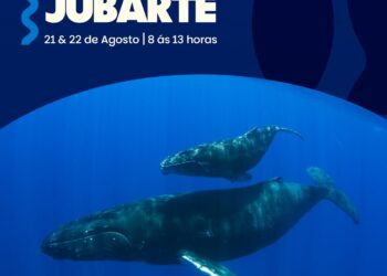 Orla Pituaçu recebe Projeto Baleia Jubarte com programação educativa e gratuita para escolas e público geral