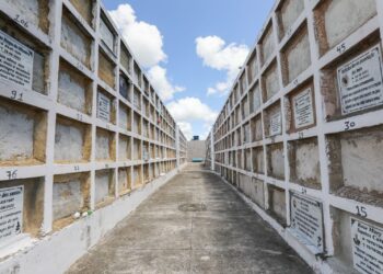 Sesp publica edital de exumação de cemitérios da sede e da orla de Camaçari