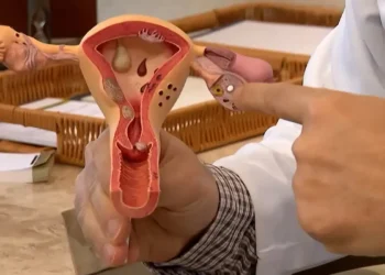 Aberta chamada pública para pesquisas sobre endometriose