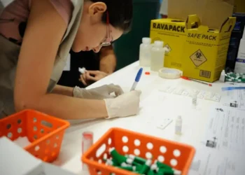 Estudo sobre hepatites virais traça panorama da doença em onze anos