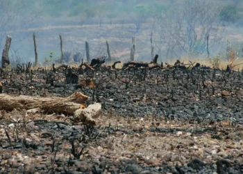 Sociedade civil rejeita agenda excludente aprovada no início da COP17
