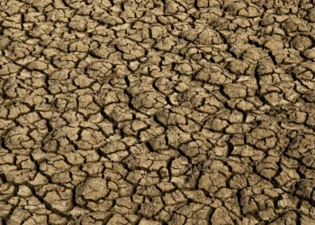 Risco de desertificação no Brasil ameaça segurança hídrica e alimentar