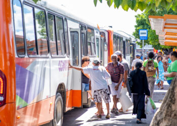 Conecta Camaçari: Transporte público é ampliado com mais quatro novas linhas na sede e na orla
