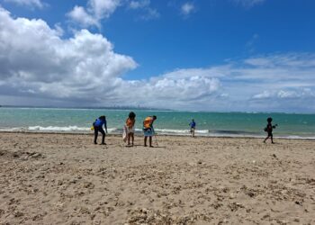 Projeto Mares recolhe 165 kg de resíduos em ação de limpeza de praia em Mar Grande