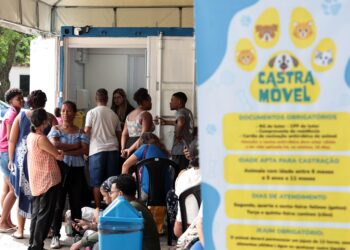 Castramóvel oferece castração gratuita de cães e gatos na Avenida Paralela a partir da próxima terça-feira (8)