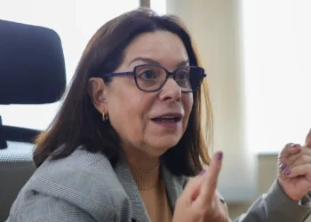 Denise Pires de Carvalho será vice-presidente de ciências da Unesco