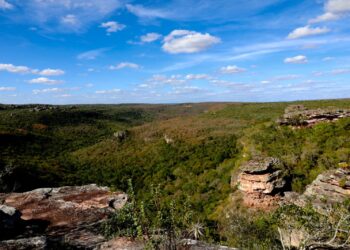 Refúgio de Vida Silvestre Serra da Chapadinha é criado na Chapada Diamantina