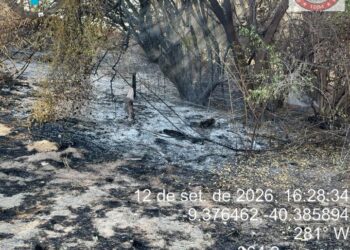 Estado da Bahia intensifica combate a incêndio florestal e protege comunidades no Norte baiano