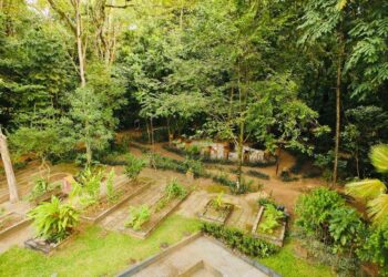 Salvador é reconhecida internacionalmente por revitalização do Jardim Botânico Municipal