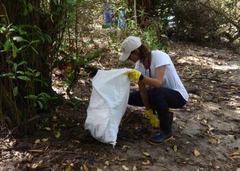 Moradores e ambientalistas destacam importância da efetivação do Parque Municipal do Passa Vaca para preservação do manguezal