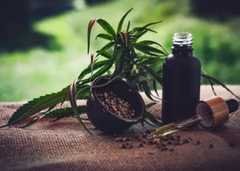 Para associações, normas ainda deixam pontos em aberto sobre cannabis