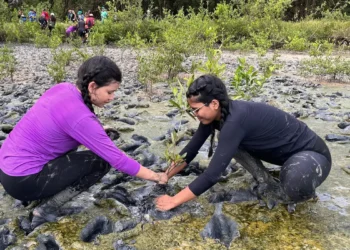 Inscrição de trabalhos no Fórum de Educação Ambiental termina dia 30