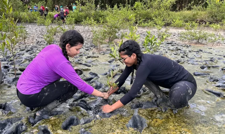 educação ambiental