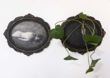 Exposição no Goethe-Institut Salvador-Bahia investiga as relações entre amor e violência
