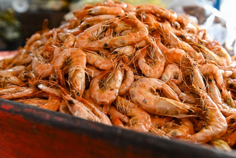 ingredientes_caruru_nacs_foto_jefferson_peiixoto_secom_pms_5