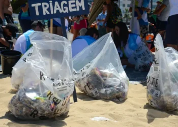 Praias de cinco estados vão receber mutirões de limpeza em setembro