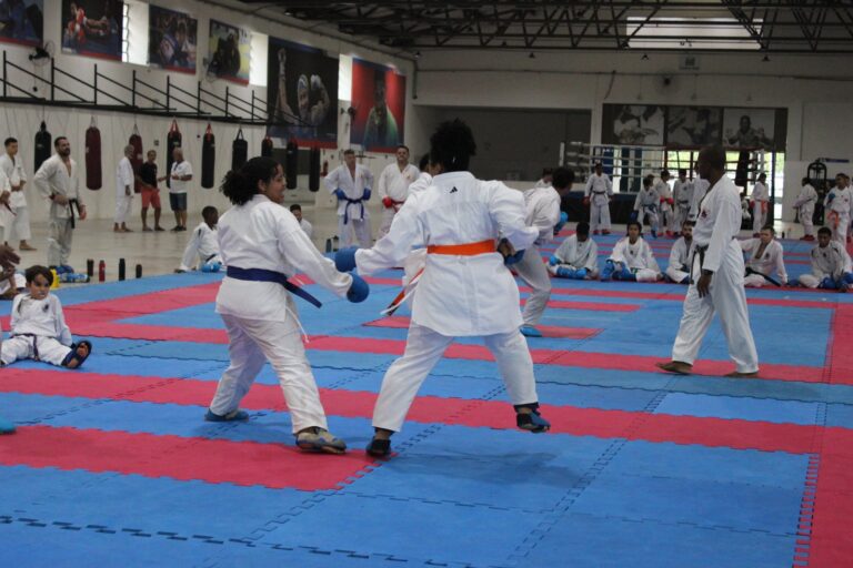 Artes Marciais - João UbaldoAscom Sudesb (1)