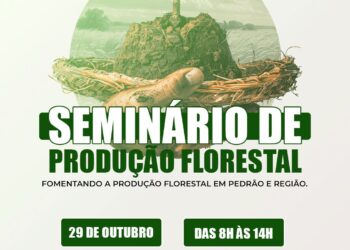 Pedrão recebe seminário sobre produção florestal baiana na quinta (29)