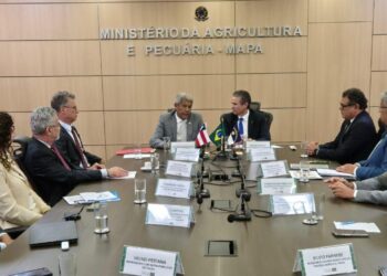 Acordo abre caminho para previsão de safra de cacau na Bahia