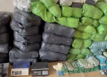 Com apreensões das últimas 48h, Polícia da Bahia chega à marca de 16 toneladas de drogas retiradas das ruas em 2026