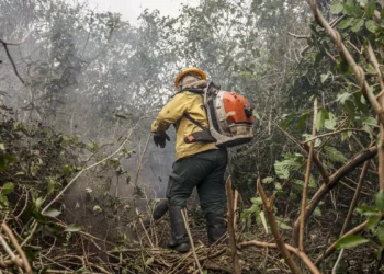 Incêdios no Amazonas resultam de ação humana intencional, diz ministro