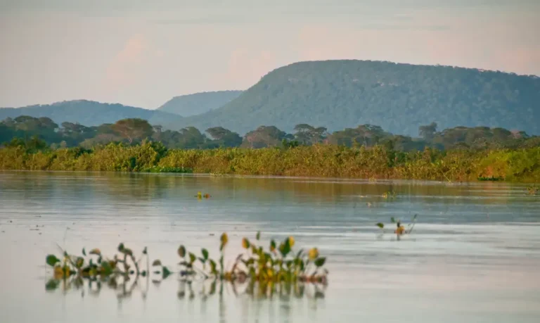 Pantanal