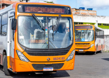 Transporte público gratuito é garantido para segundo turno das eleições na sede, orla e zona rural de Camaçari