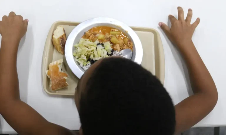 alimentação