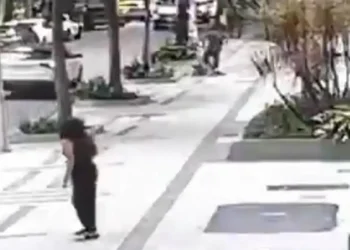 Professora aposentada da UFRJ é baleada em assalto na zona sul do Rio