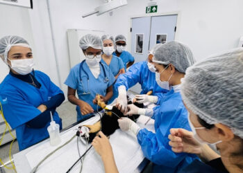 Universidade realiza Outubro Rosa Pet com atendimentos gratuitos